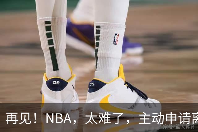 再见！NBA，太难了，主动申请离队，才22岁的超级天才啊